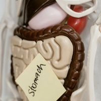 More trouble linked to ultra-processed foods