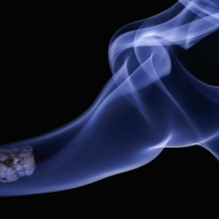Are loneliness and cigarettes equally deadly?