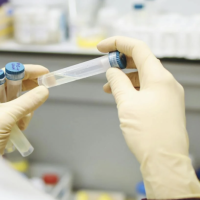 DNA tests, surprise siblings, and estate fights