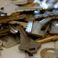 Symbols of resilience and hope