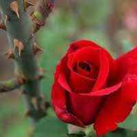 The Perfection of Imperfection