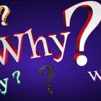 Ask Yourself Why!