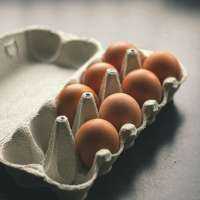 They Overlooked It All!