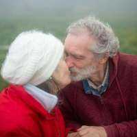 Wisdom of the Elders