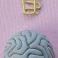 Rewiring the Brain
