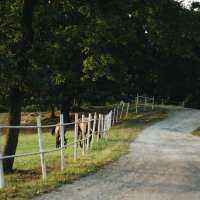 Forgiveness Unpacked