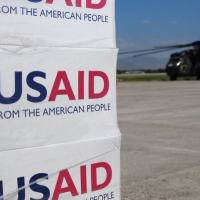 USAID: Does It Truly Belong In Musk&#039;s Woodchipper?