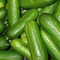 FDA: Beware Of Cucumbers In These 15 States