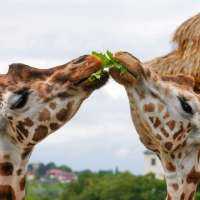 Generosity Is Truly Your Best Friend
