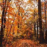 Turning over a new leaf