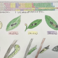 Kid Researcher Makes Discovery &amp; Shocks Scientists