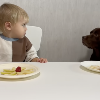 Hilarious and adorable