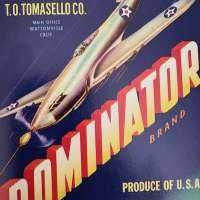 Some Questions All Americans Should Ask Themselves