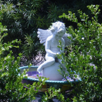 Sunday Sound Bath: Choosing A Holy Path Forward