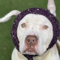 What kind of hat is this?