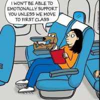 Entitled pooch