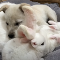 Getting a little help from friends