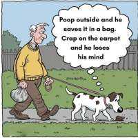 Humans do the craziest things