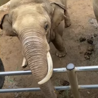 Kindness at the zoo