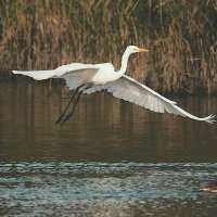 There's so much to say, but nothing comes.