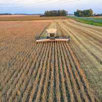 Why farmers voted for Trump