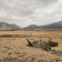 Rebooting into the present &amp; letting regrets go. 