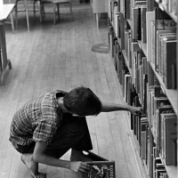 Children Discover Uses Of Library At Reseda School