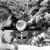 The Universal Wonderment Of Christmas
