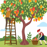 How To Host Your Own Happy Harvester Event