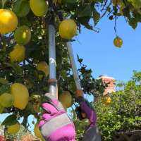 How To Recruit Volunteers For Your Picking Event