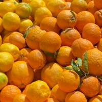 One step turns into feeding the multitudes