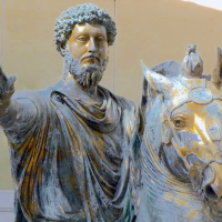 A Stoic's View On Removing Thorns From Your Side