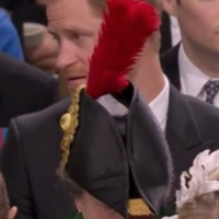 Stoic Emperor Meditates on a Royal Feathered Cap