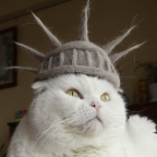 Elegant headpieces for the fashionable cat