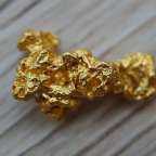 The Gold Nugget!