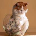 Savings Grace's picture